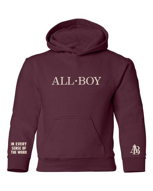 The Conversation Starter All•Boy 3 Point Premium Hoodie