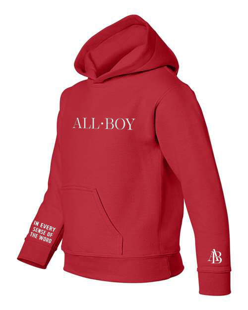 The Conversation Starter All•Boy 3 Point Premium Hoodie